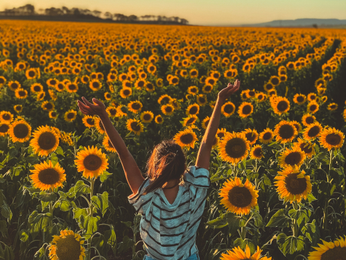 carles-rabada-unsplash