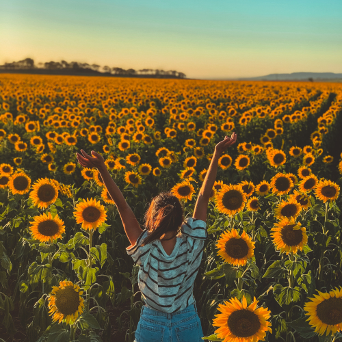 carles-rabada-unsplash